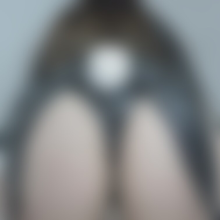 バニーの日🐰part3🫶

でっかいお尻とぎりぎり…🫣🫣