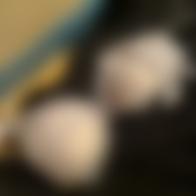 ギャルちゃんの可愛い下着です！
彼女はCカップらしく…。
この日は純白なブラで現れました！
