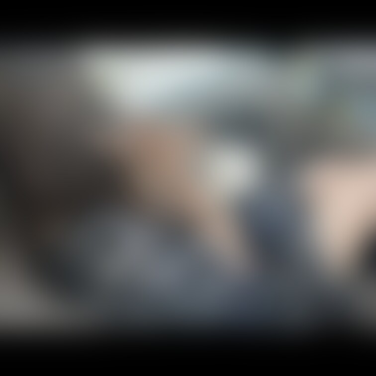 無料プラン