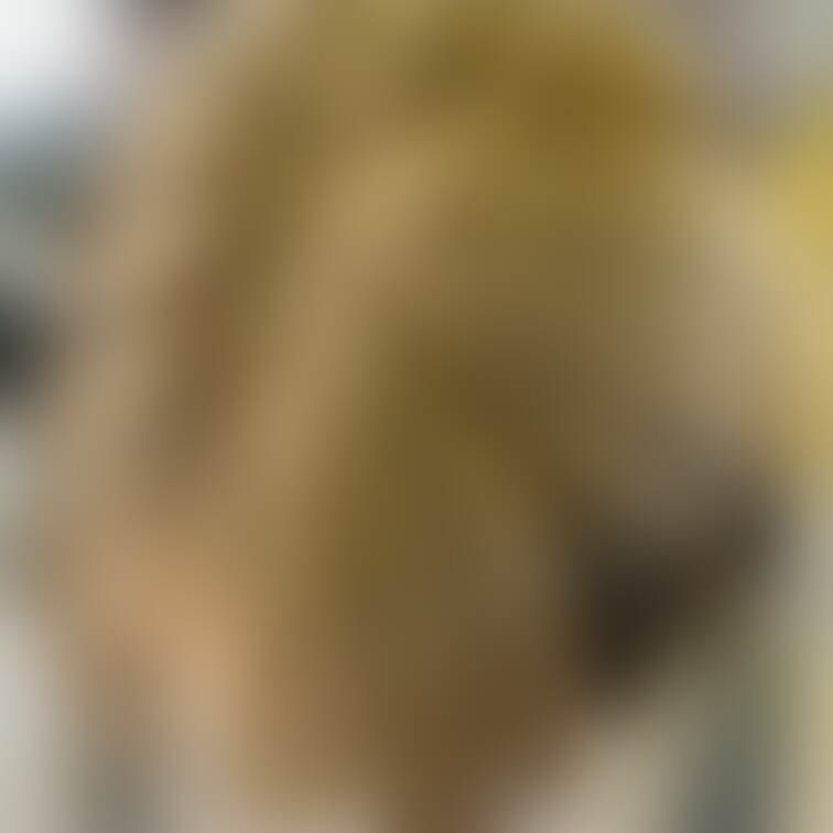 染めたてギャル23歳と。