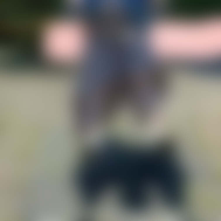 可愛いママのエッチなブランコ遊び😍
ちゃんとしたパンツは履いてません😳