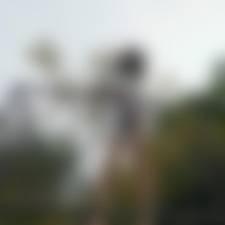 こういう所ってミニスカートだと下から覗きたくなっちゃいますよね🤤