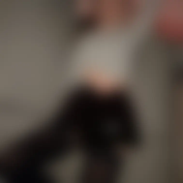 昨日は義妹のおっぱい触った。柔らかかった。夜這いしたい…