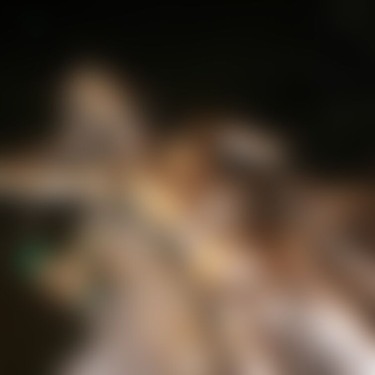 【アイドル級美少女銀粉撮影】
超可愛いアイドル級の女の子が銀粉撮影に初挑戦してくれました!
自分の手で銀色に染め