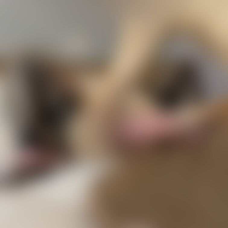 【あみなに興味出てきた🧡】会員様用画像

有料プランには顔出し動画や激薄修正動画も用意してございます💁‍♀️
是非
