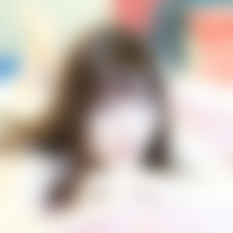早川夏美さん
有料プランは、もちろんお顔公開です🌸
ほんと綺麗な方ですよ！

がんばって編集しますので
本公開