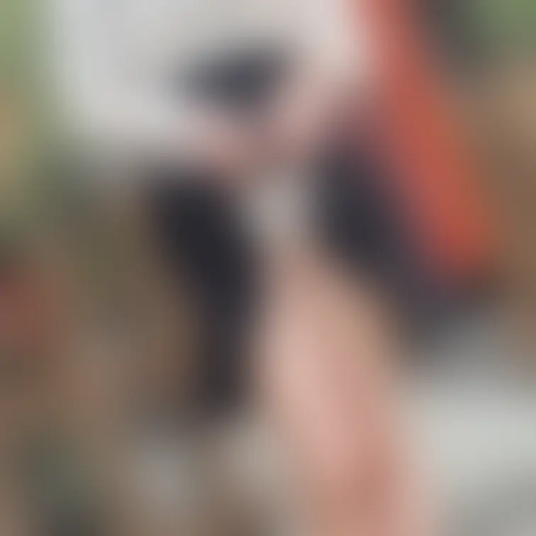 おはよー今日も一緒に頑張ろう！
7/25(金)19時に
ファンクラブにまたのあのオ〇ニー
してる動画公開します🥰