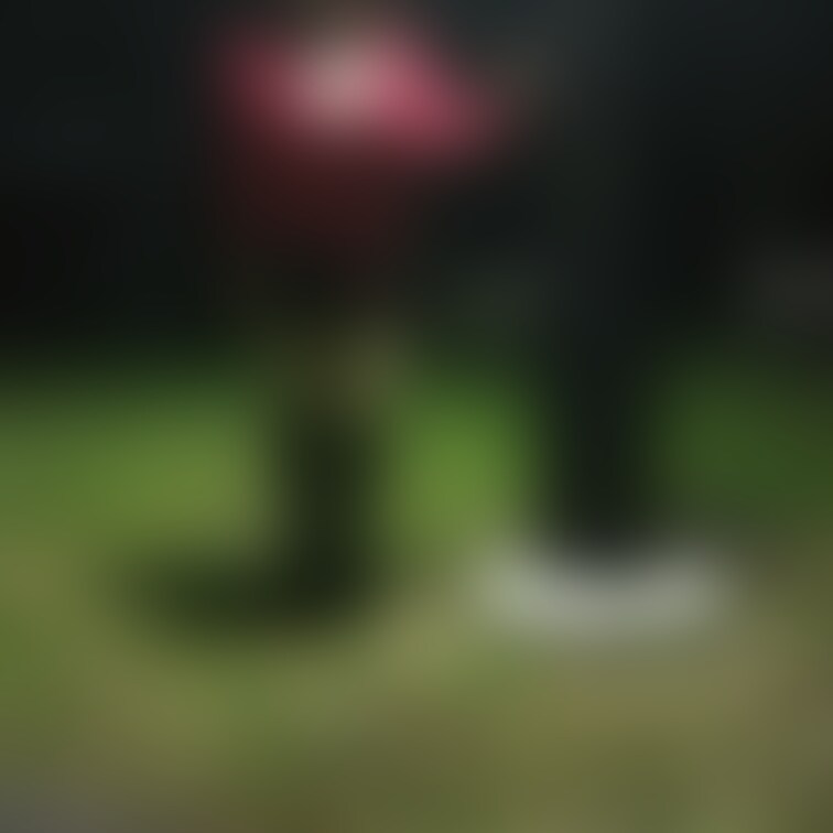 深夜の公園で露出
ギャラリーを待つOL