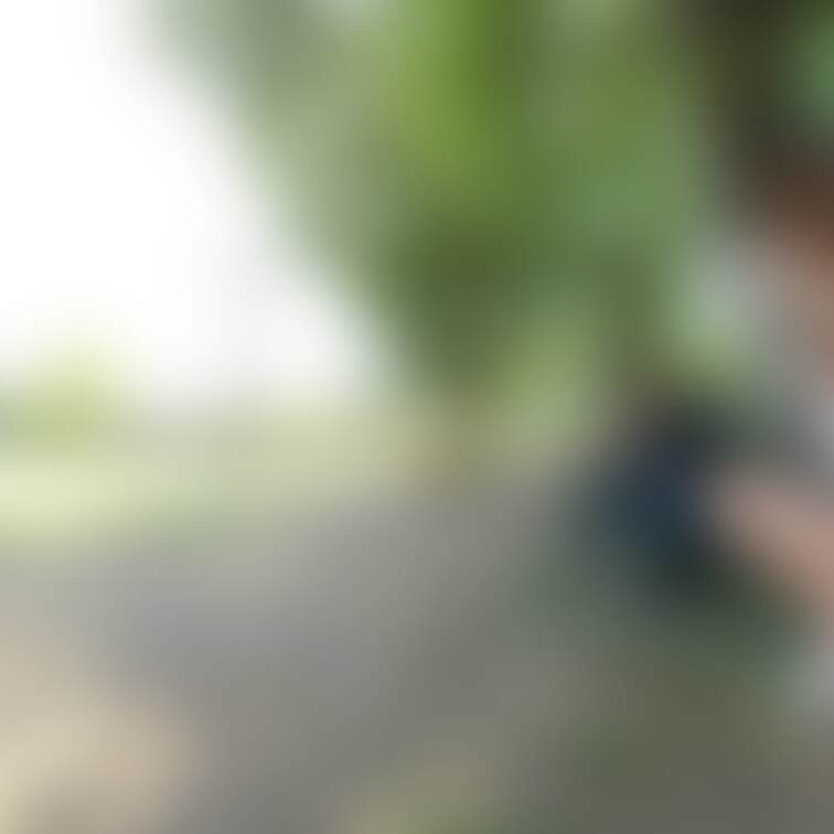 久しぶりの写真5枚🌸🌸