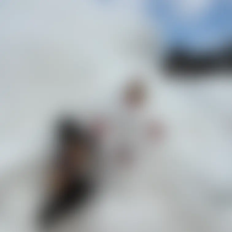 雪だるま⛄️と言えばコチラ

今年も行けるかなぁ

今は団体観光のお客さんも少ないかな💓

ガン見されたいの