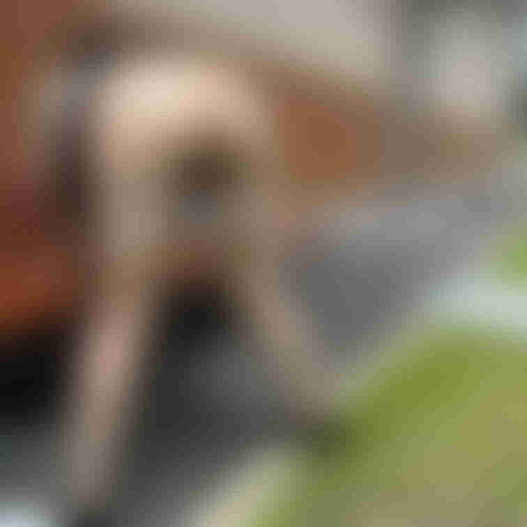 Xの続きです🧡淫紋、ガーター、遠隔ローター挿入して露出😖🧡おもちゃ挿れたままずぽずぽされるのすきです😖🧡してくれますか？