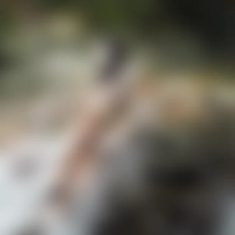 今日は2枚。弥生の屋外でのショットと室内でのヌード。

セクシーアイドル虎の穴・弥生編all（顔隠し）
https