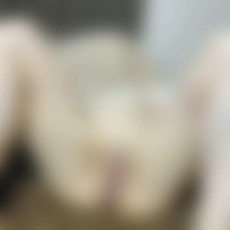 今年最後の投稿。今から年越しエッチです。