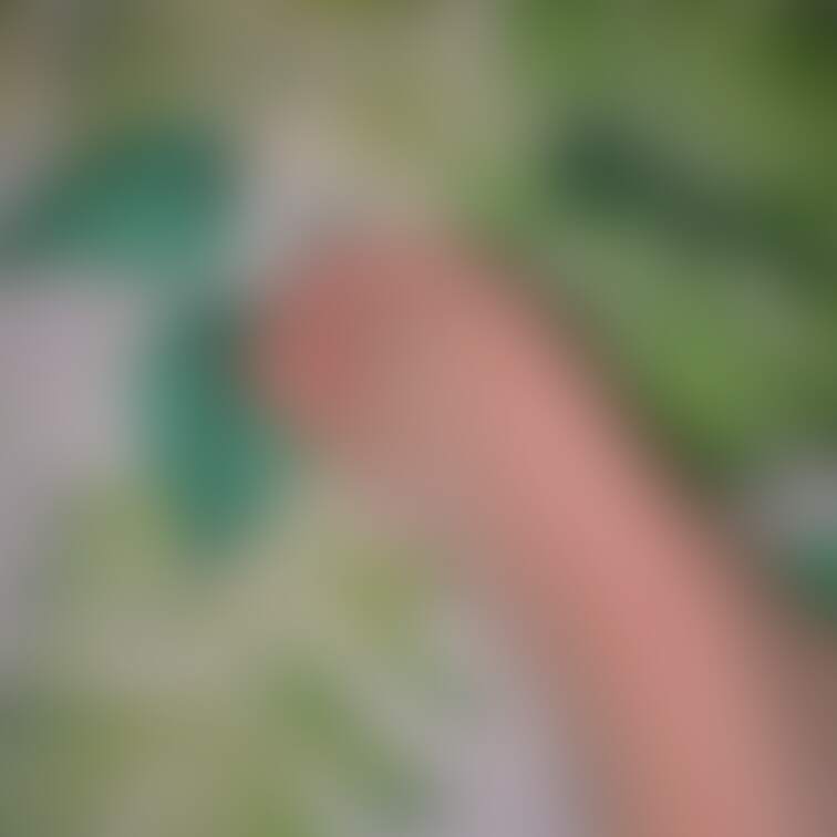 夏あーんよ🦶🦶