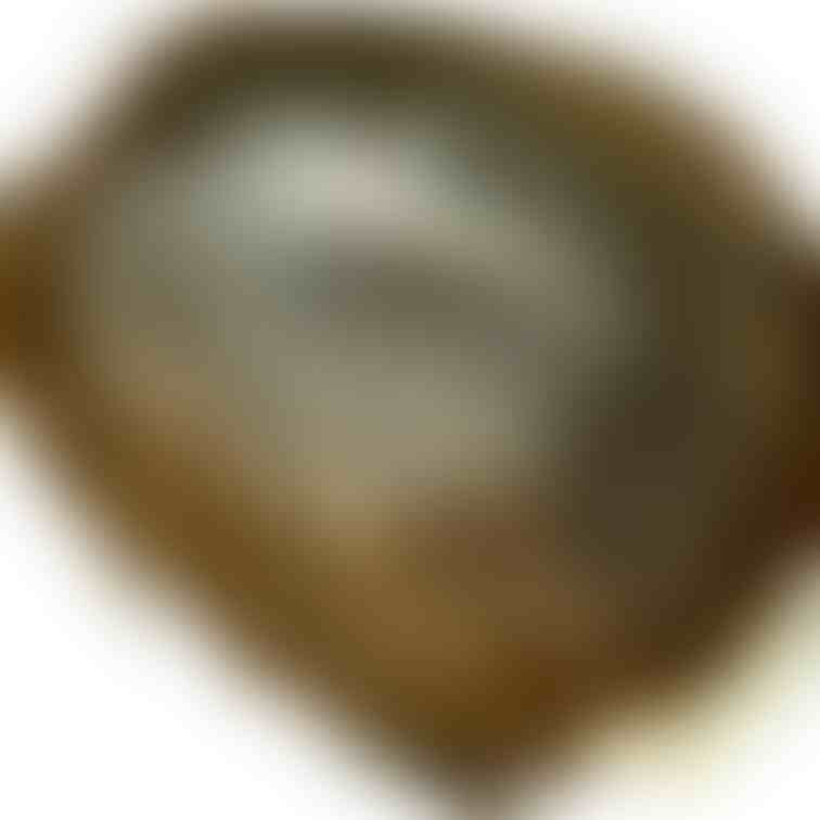 ビチビチにテカテカしてるOL分け目が好き