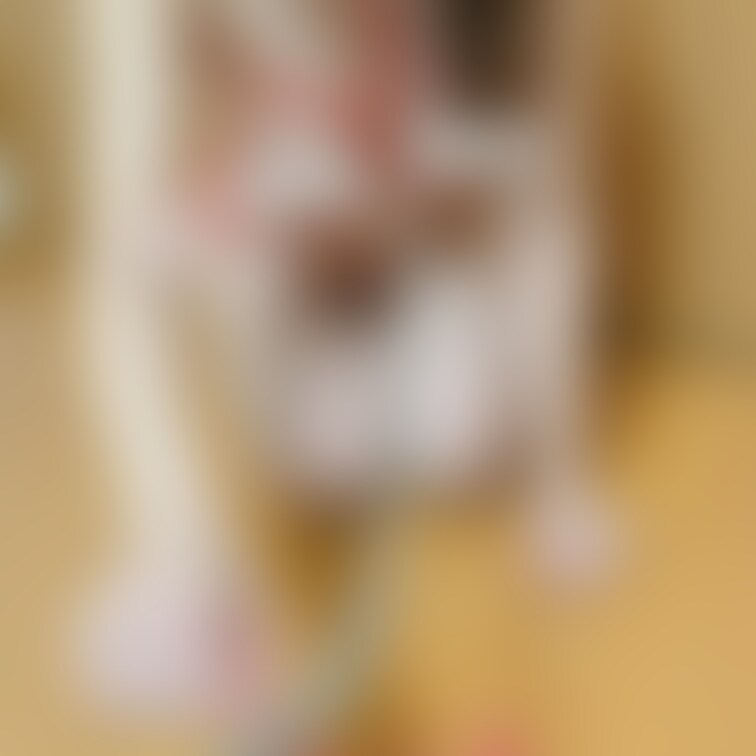 ご主人様（紗和プラン）限定写真です♡
亀甲縛りの乳首見えて輝ver
命令したらいうこと聞きます(/ω＼)///