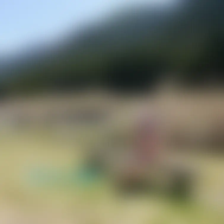 素敵な橋の近くで💕