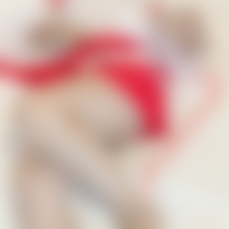 ツイート済みの画像。
載せわすれてました？
他の角度からの画像は有料プランにアップしています🙈