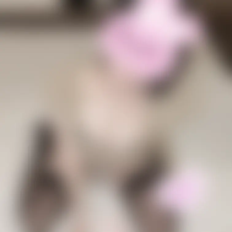 お気に入り玩具で…🧸🤍