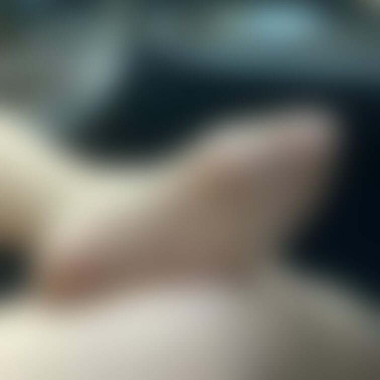 足マニアさんへ…