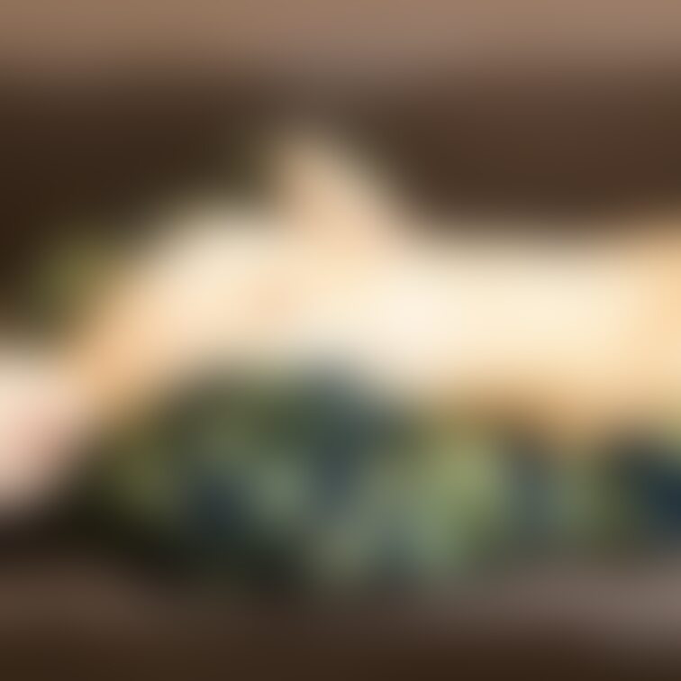 - ̗̀🐯 ̖́-