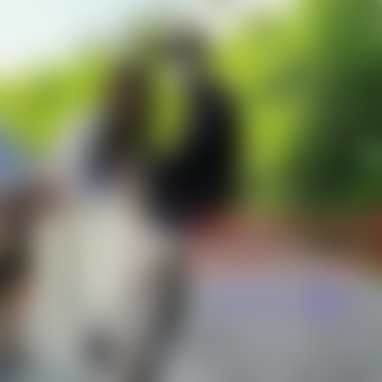 ハッテン場と言われる公園で青○○○してきた動画を『人妻M💕推しプラン』で公開しました。
動画から切り抜いた写真です。