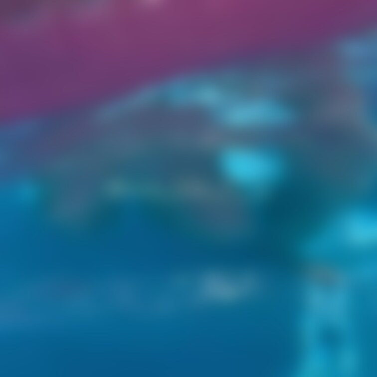 プールの中はどうなっているでしょうか…？