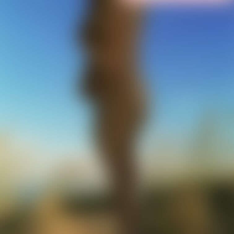 嫁ちゃん、可愛すぎました…🥹
初めてのセクシーランジェリー☺️
興奮しすぎてめっちゃたちました🍌💦
こ