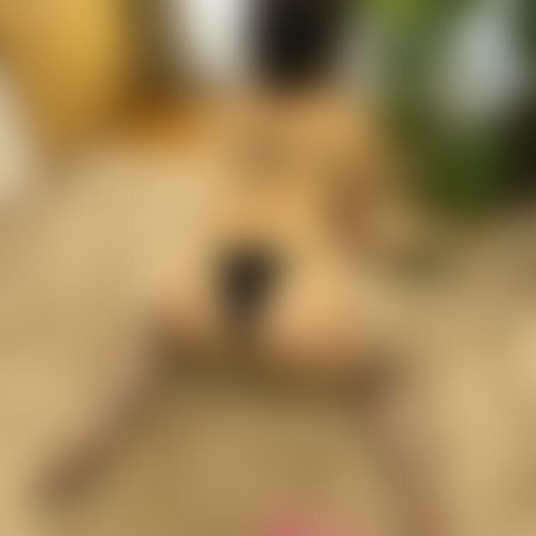 四つん這いMikuもトナカイちゃん🥰
葉っぱ食べてる?🤭