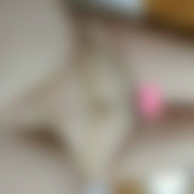 上アングル(〃∇〃)
中々撮らない角度だね🙈