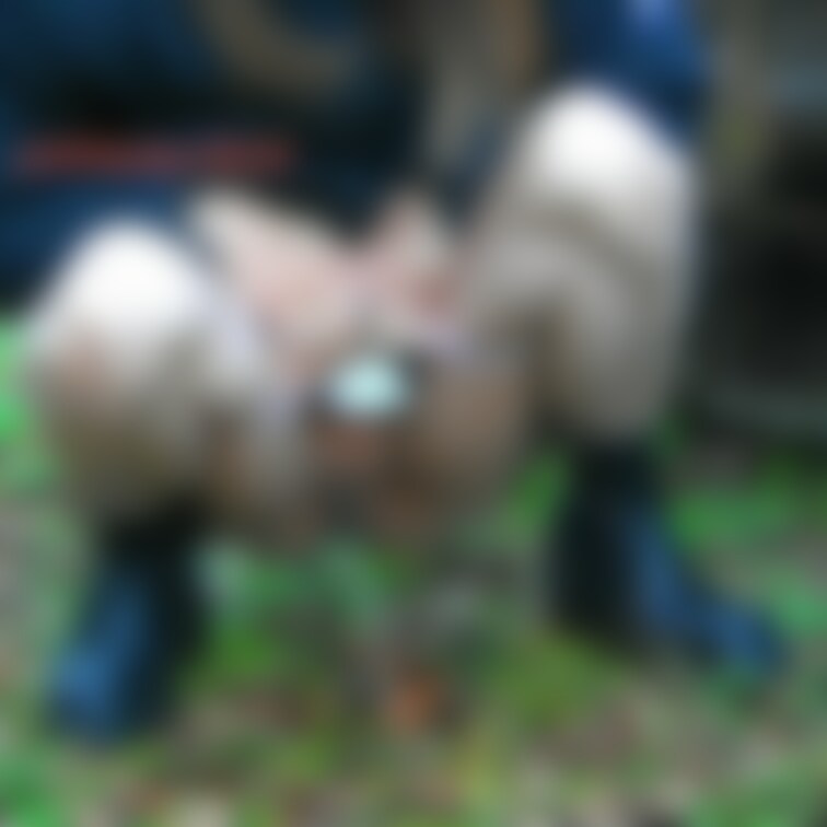 【初公開！淫妻野外放尿！！】

ちょっと試しな初公開・・・野外放尿モノ！！
どれくらいの需要があるのかは分かりませ