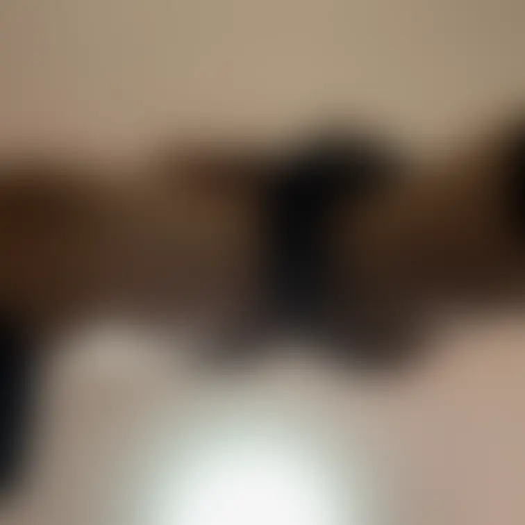 どうなってんの？