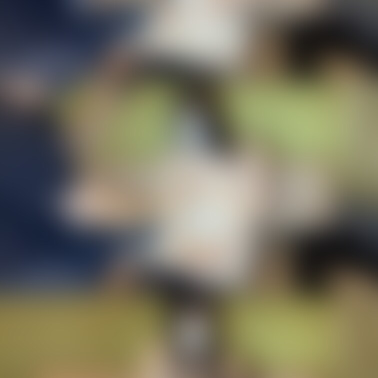 るかちゃん画像です

つい先日、○○○ポルノ扱いされるほど○○○で○○○に間違われちゃう女の子です😵‍💫

たろ
