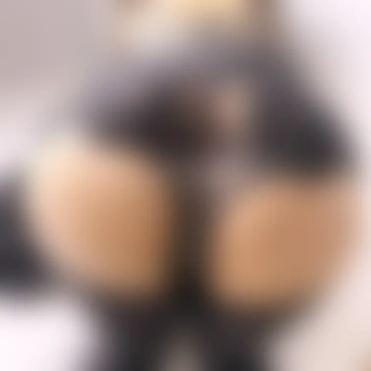 敏感まんこちゃんを食べに来て❣️