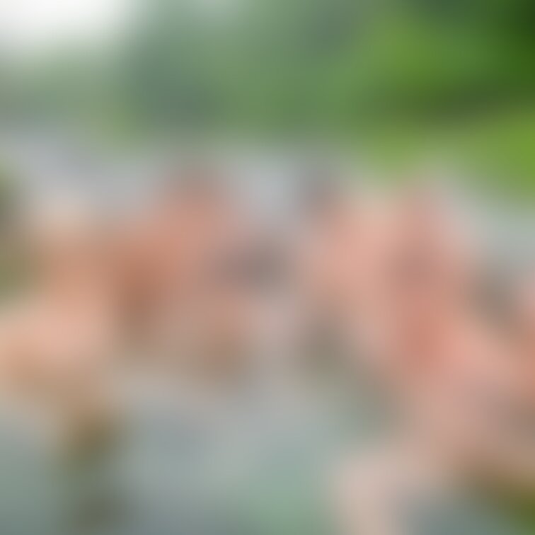 新シリーズ！
3カップル➕1Menみんなで楽しく混浴です♨️
7人での写真は居合わせたワニさんに撮影して持っちゃった