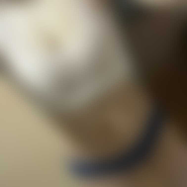 ヒナの今日の下着です。
写真多く撮ったので分けてアップします⤴️
今日の下着①
