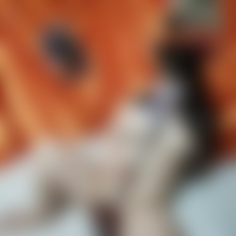 ハロウィン終わったけど