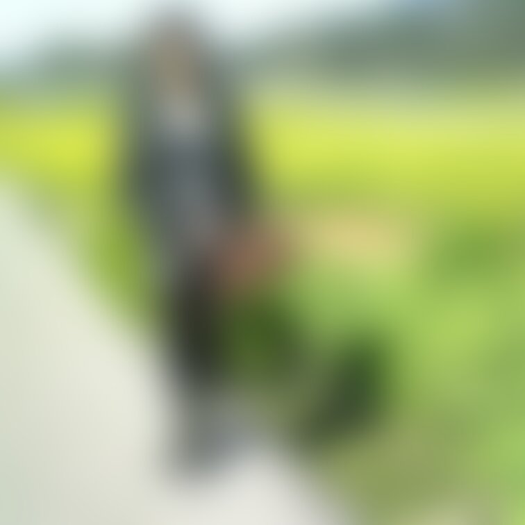 実家の菜の花畑と、自宅敷地沿いの野生の菜の花