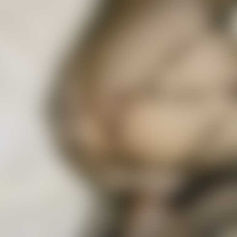 今日はおしりの日だったんですね