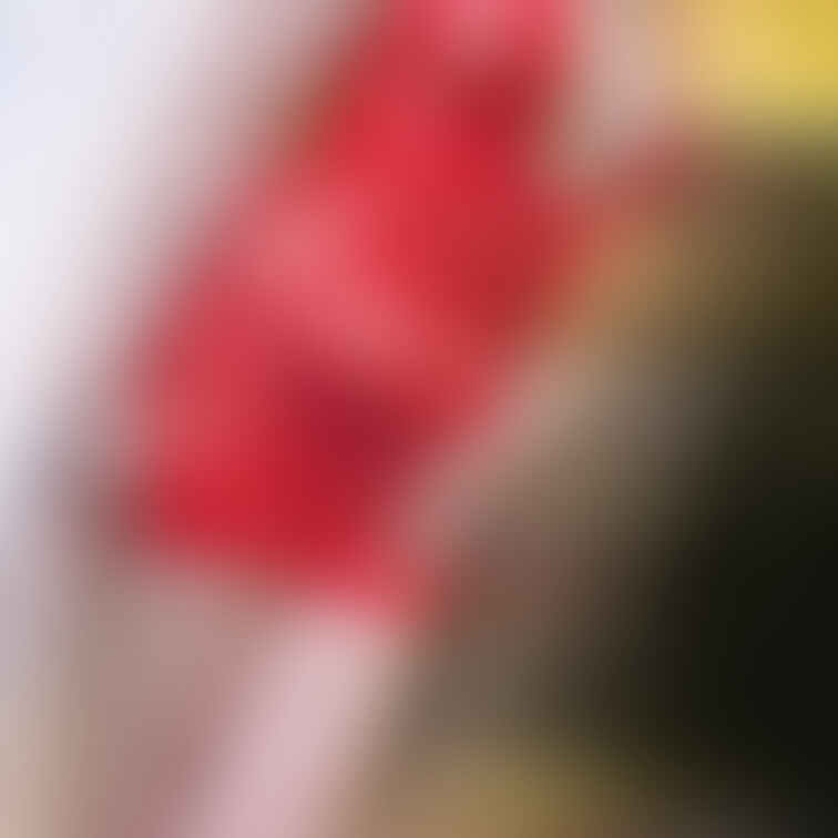 新しいコスプレ届いたんだけど、
スケスケすぎる〜😂

この格好でも一緒にHugとお○○○飲んだり、
遊んだりして