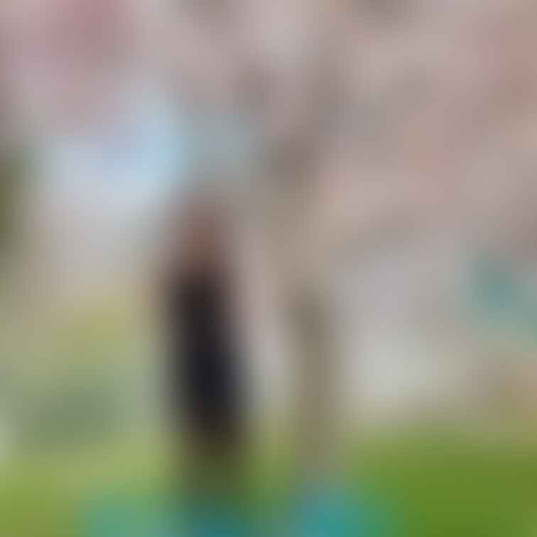 Twitterに載せた写真をこちらにも