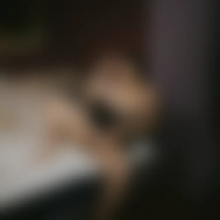 いやらしいところ
