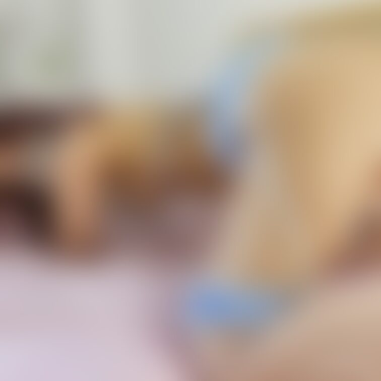 後ろから入れてくれる？💕

そんなポーズだよ❀(*´▽`*)❀