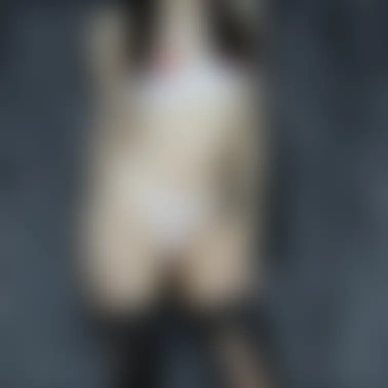 新人素人モデル、モモちゃんのTバックランジェリー&M字開脚&パンチラ