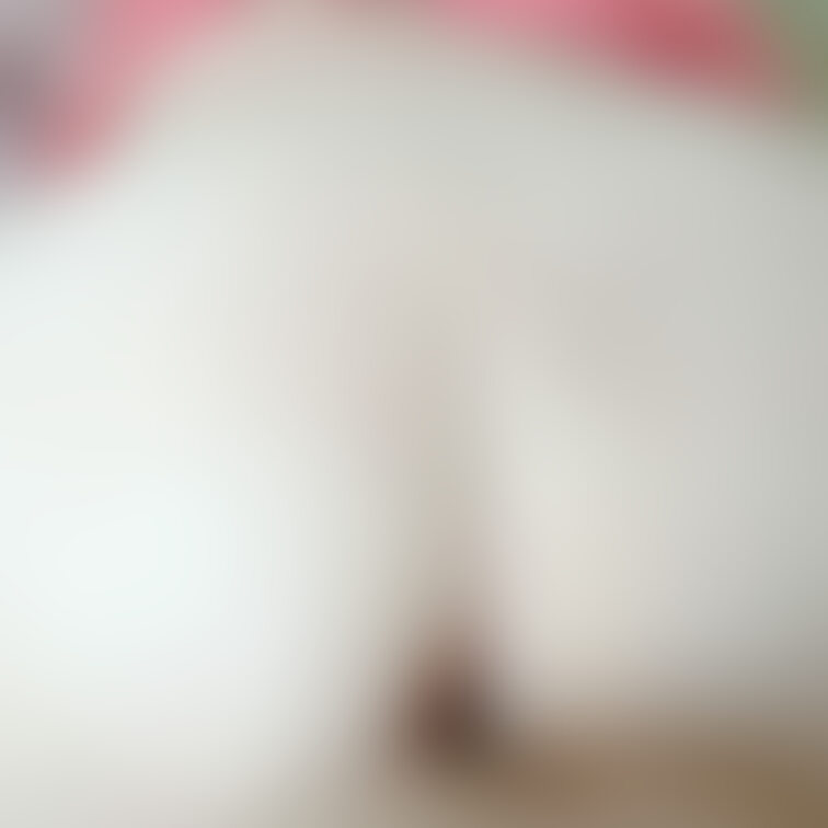 バックから見たデカ尻…🍑

