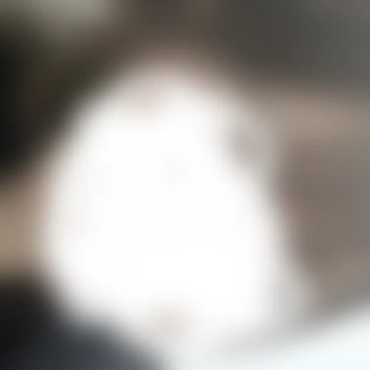 雰囲気だけでも感じてくださいっっ
ましるが性癖にささったひとは応援してください💕