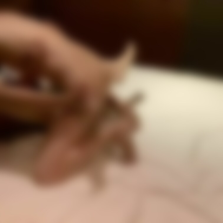 Twitter未公開!19歳彼女ありバイ大学生とリピ○ハメSEX 気持ちいいトコロを突くとヨガリまくって爽やかな顔...
