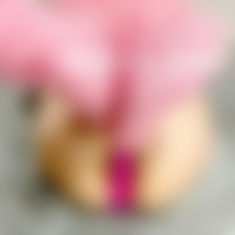 🍫𝑉𝑎𝑙𝑒𝑛𝑡𝑖𝑛𝑒 𝐷𝑎𝑦❤️(*´`*)
なるるとチョコをぺろぺろして💋✨