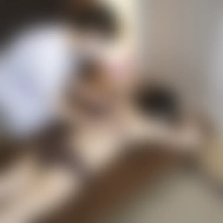 ★いいね👍🏻を押して応援してください★
Relaxation&Spa【猫の手】です。
本日も心を込めて営業中