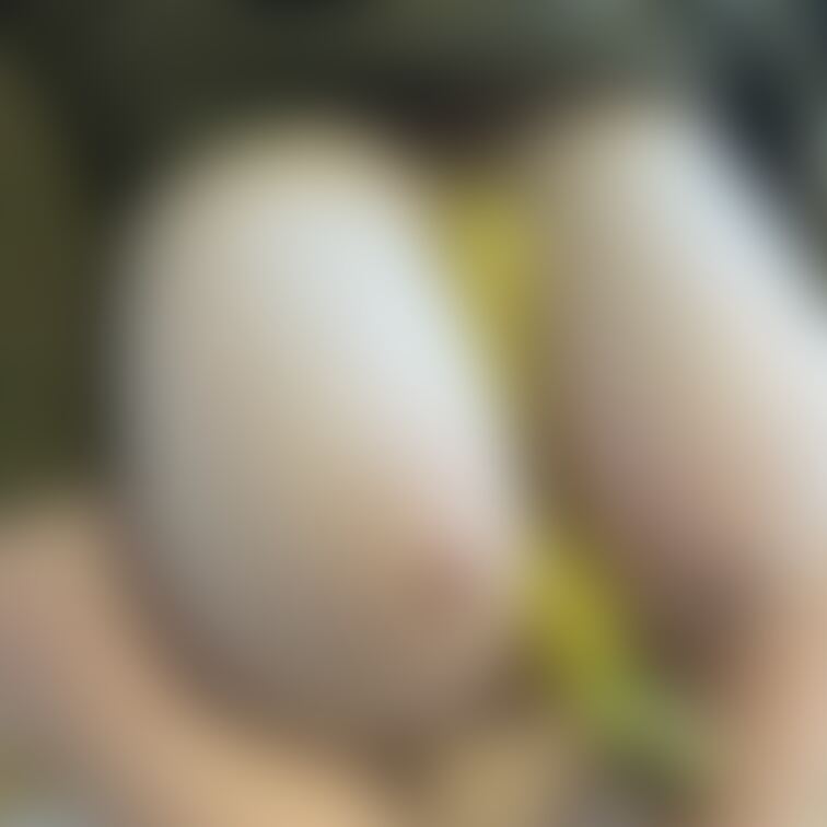 挟まれたい人〜🤤